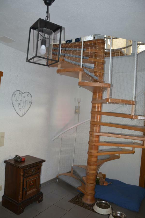 Ferienhaus Winterberg Bromskirchen ภายนอก รูปภาพ